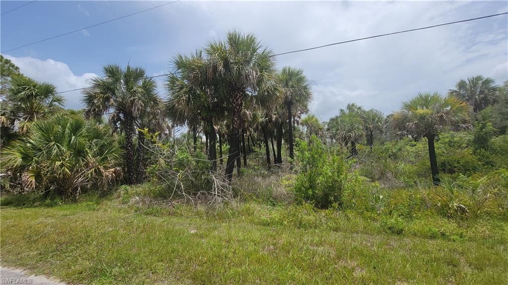 GOLDEN GATE ESTATES - Land