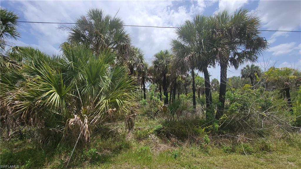 GOLDEN GATE ESTATES - Land