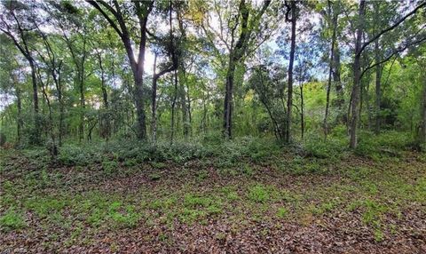 0 Kenyon DR WEBSTER FL 33597