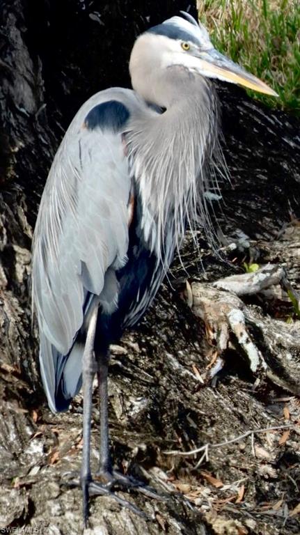 MYERLEE PARK HOMES CONDO - Residential