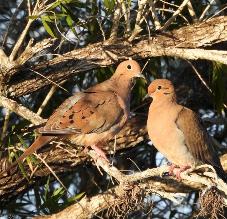 MYERLEE PARK HOMES CONDO - Residential