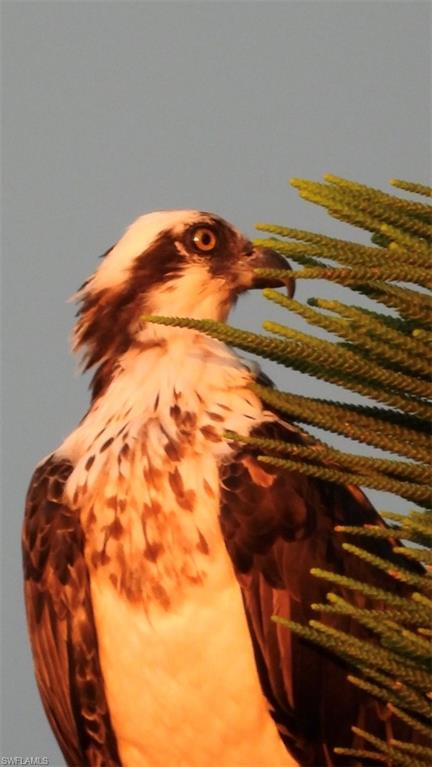 MYERLEE PARK HOMES CONDO - Residential