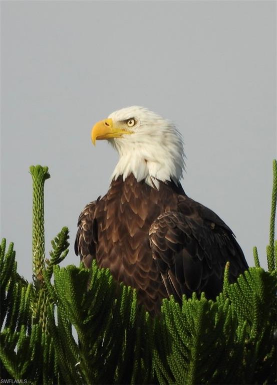 MYERLEE PARK HOMES CONDO - Residential