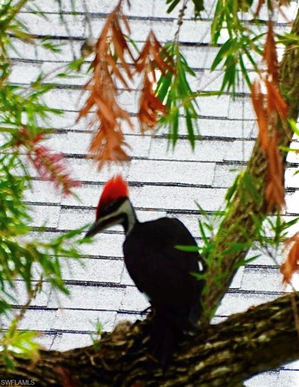 MYERLEE PARK HOMES CONDO - Residential