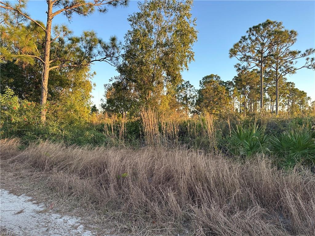 WHEELERS SUBD - Land