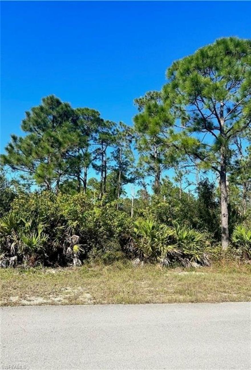 Just listed in a highly desirable location in Lehigh Acres with quick access to Joel Blvd! Not in a flood zone, no HOA fee, and on a paved road. Priced to sell quickly, don't miss the opportunity.