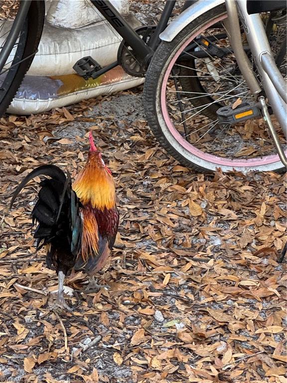 MONTURA RANCH ESTATES - Residential