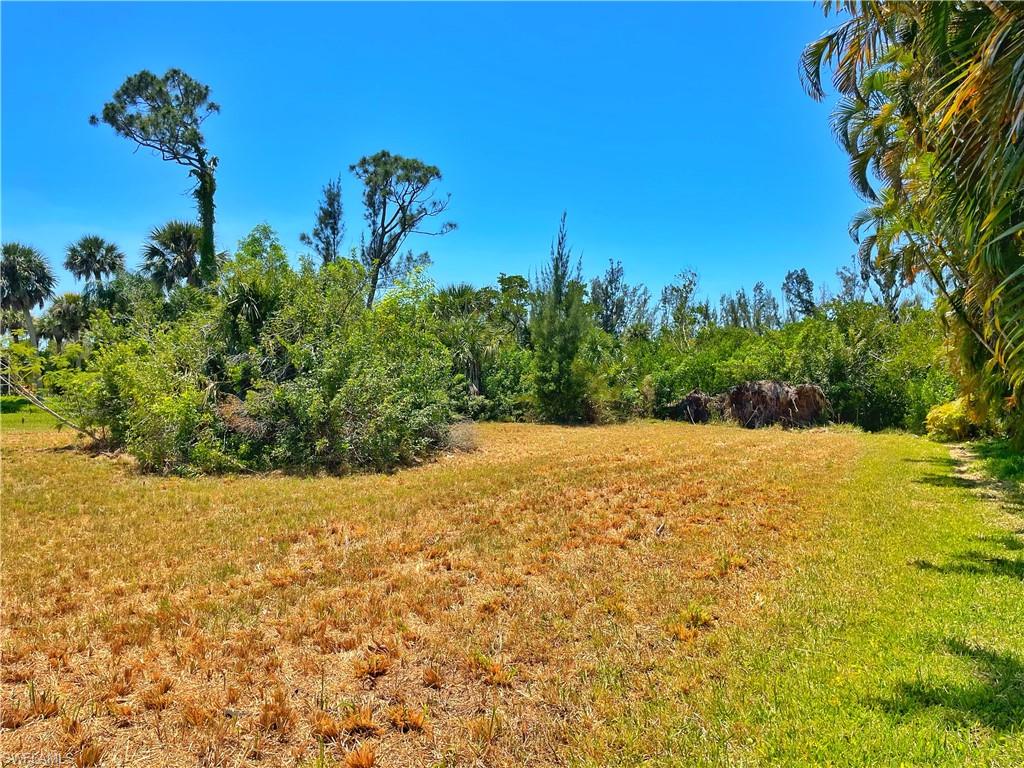 ALDEN PINES FIRST ADD - Land