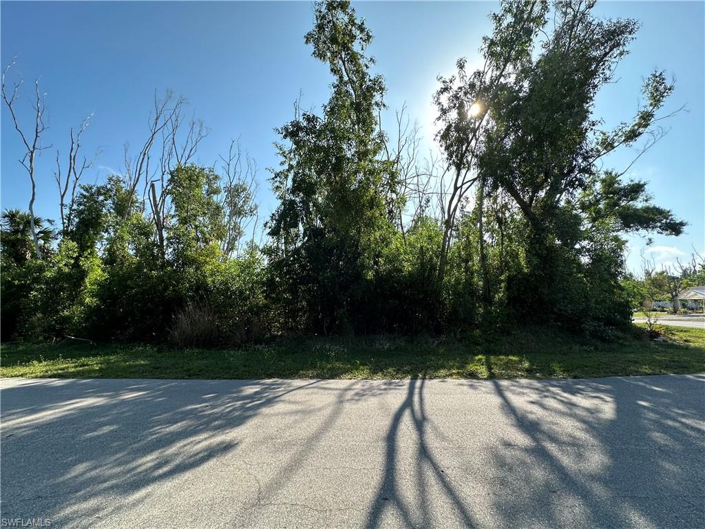 PINE ISLAND VILLAS - Land