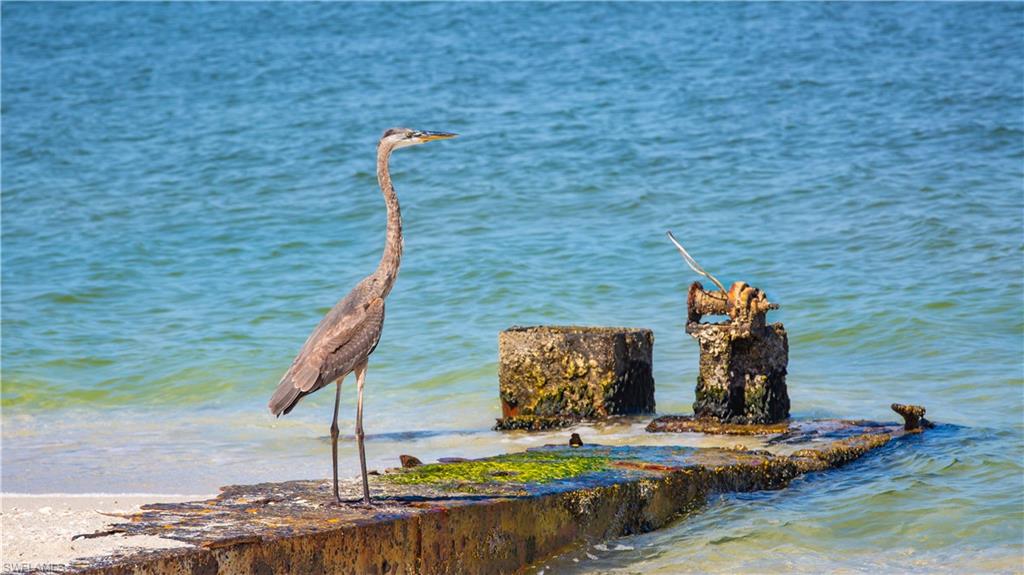 NORTH CAPTIVA DUNES - Land