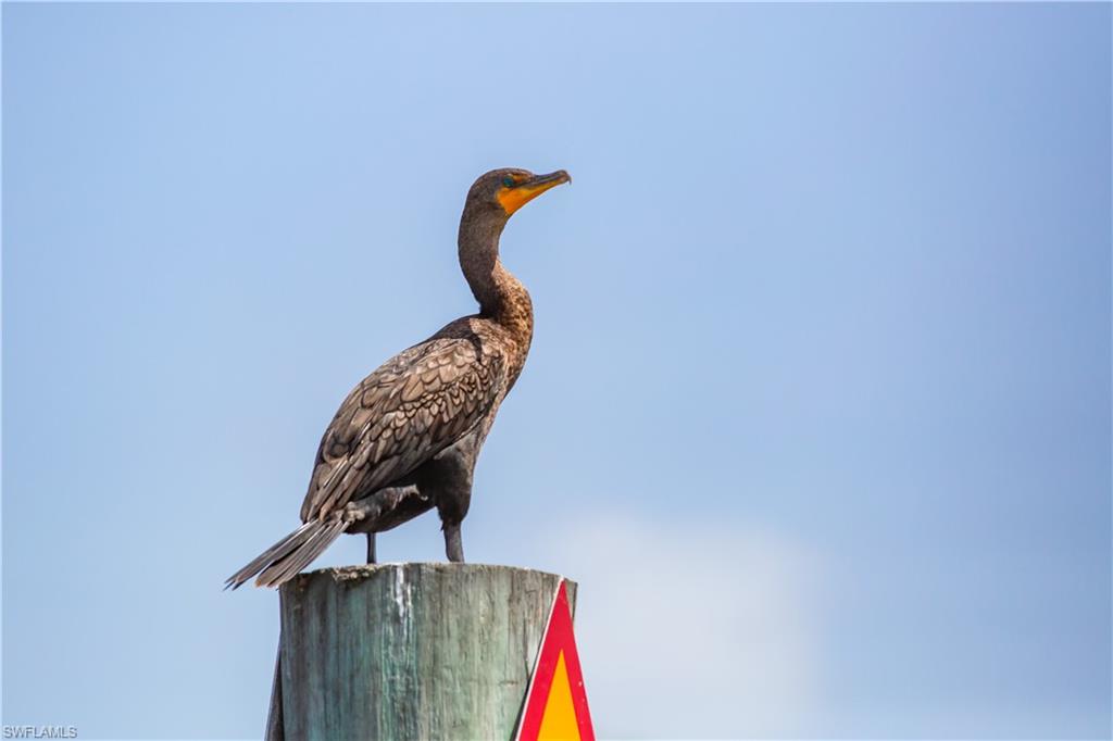 NORTH CAPTIVA DUNES - Land