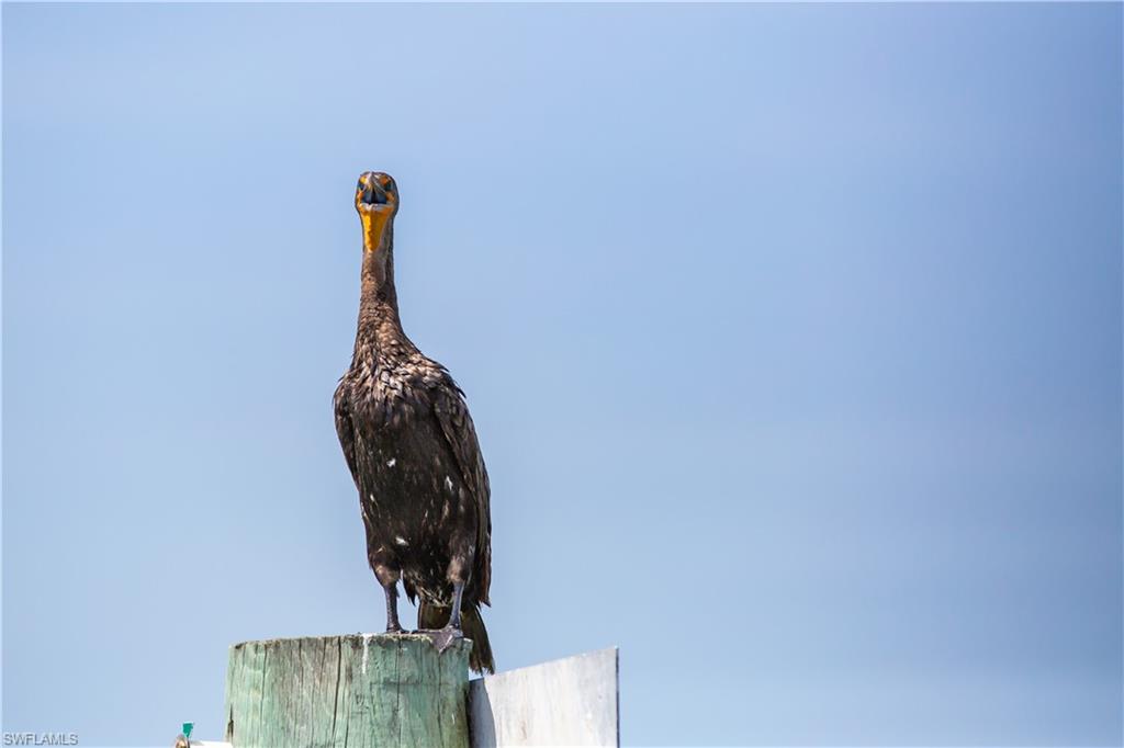 NORTH CAPTIVA DUNES - Land