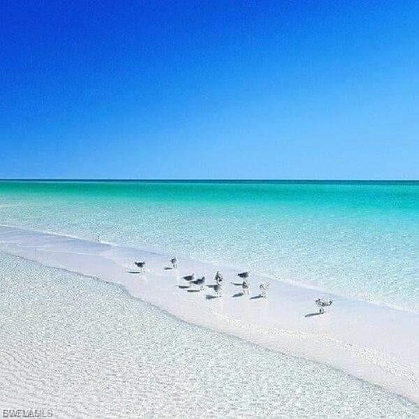 PORT CHARLOTTE - Land