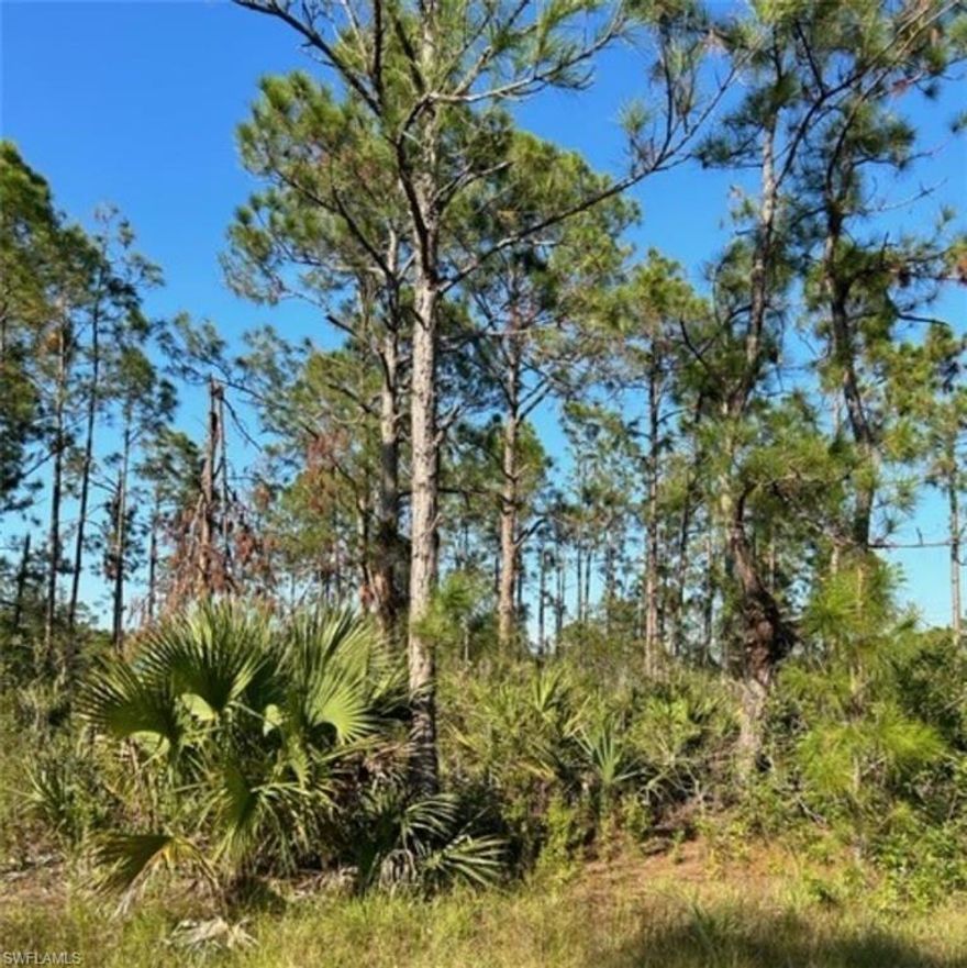 Enjoy the country while being a short drive from Fort Myers and RSW Airport.  This .25 acre lot is ready to be cleared for a new build.