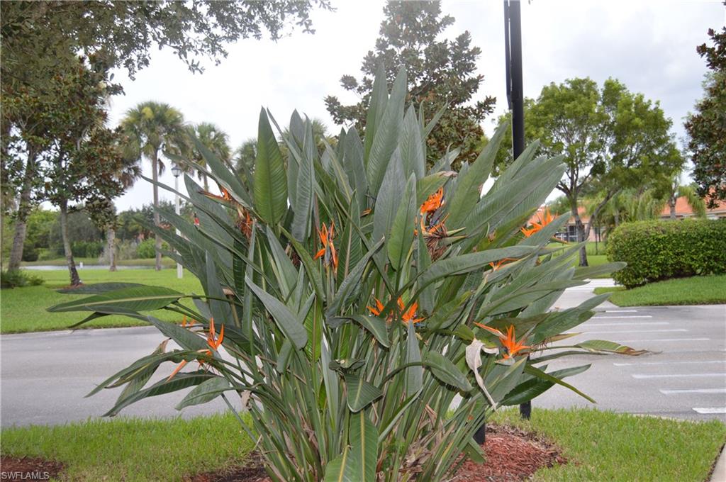 BLUE HERON - Residential