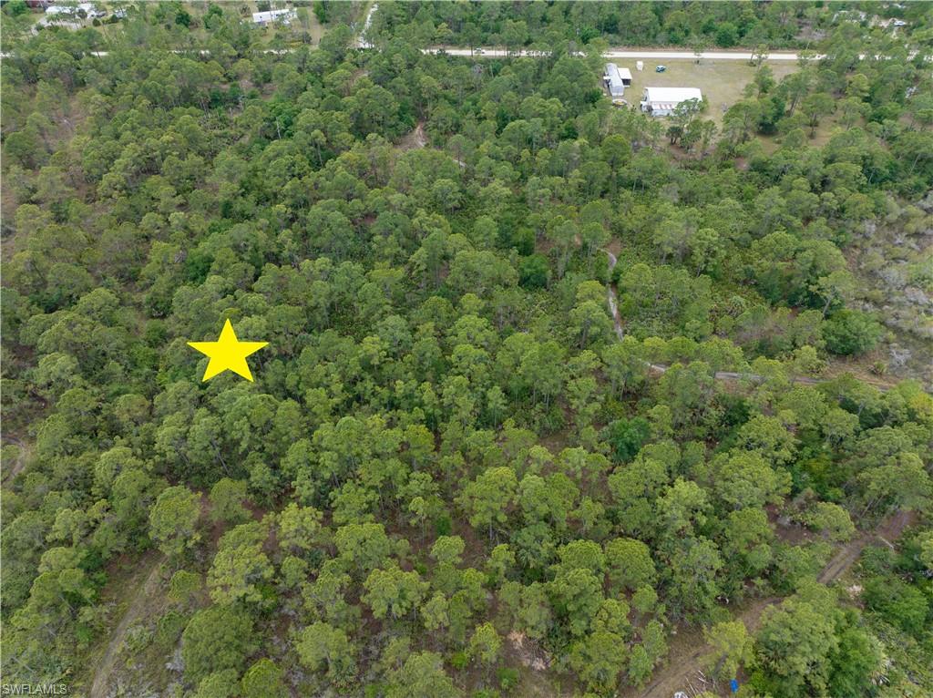 PIONEER PLANTATION - Land