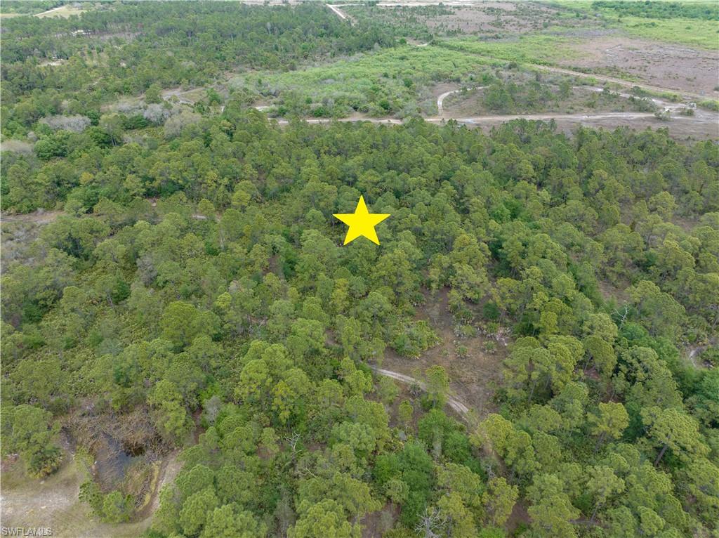 PIONEER PLANTATION - Land