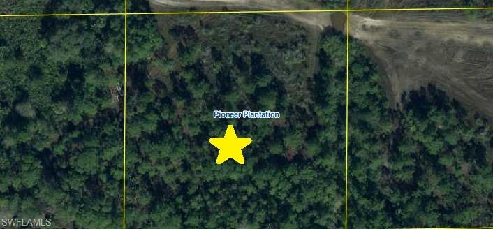 PIONEER PLANTATION - Land