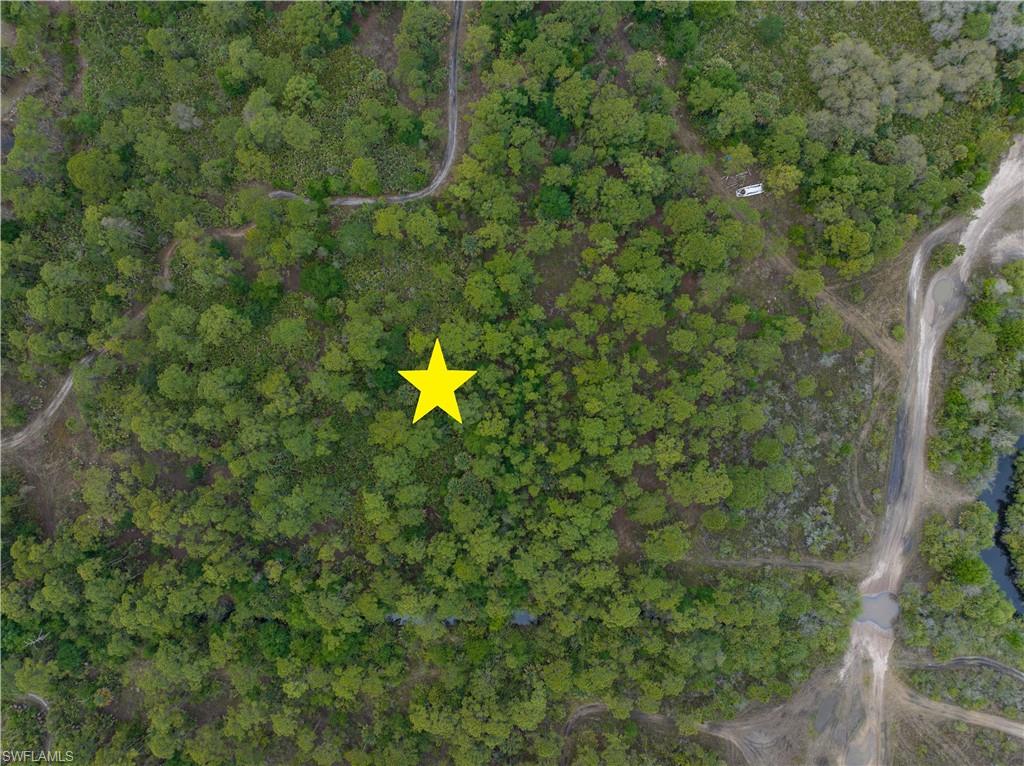 PIONEER PLANTATION - Land