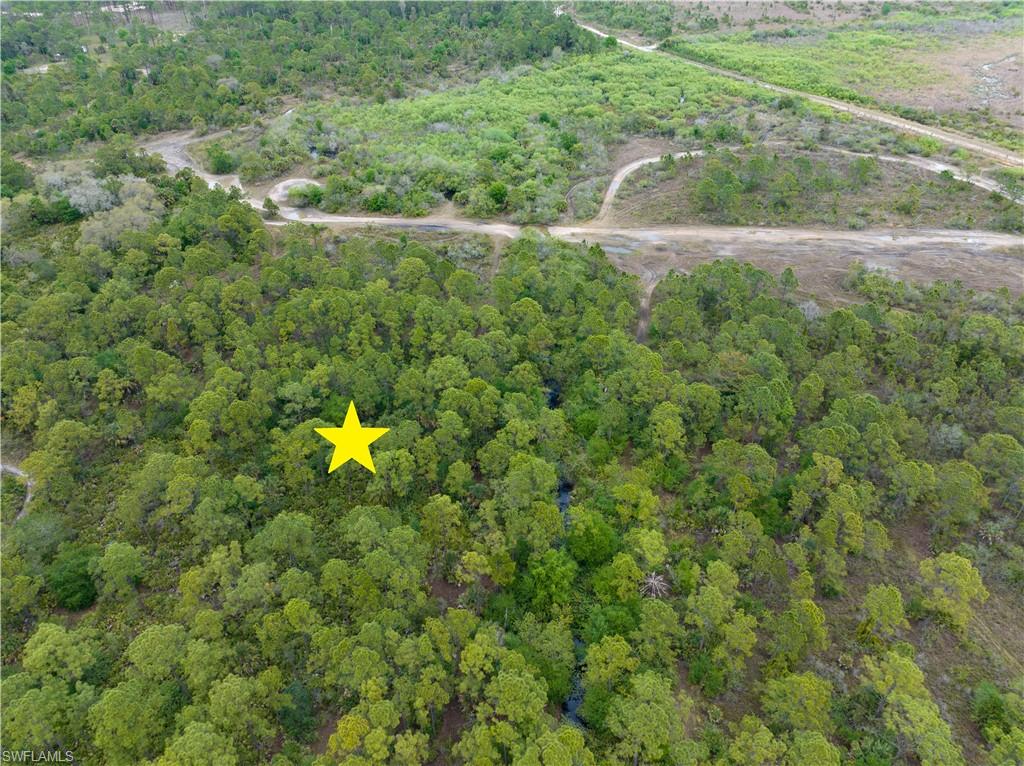 PIONEER PLANTATION - Land