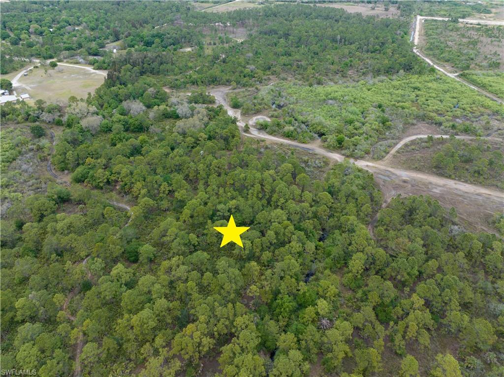 PIONEER PLANTATION - Land