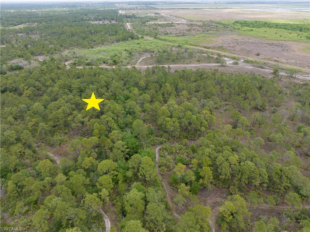 PIONEER PLANTATION - Land