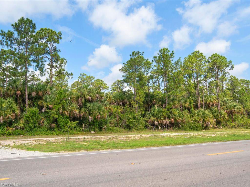 GOLDEN GATE ESTATES - Land