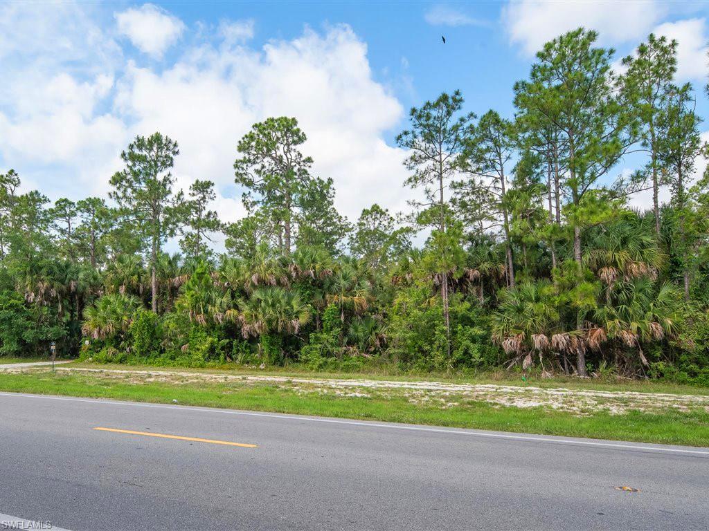 GOLDEN GATE ESTATES - Land