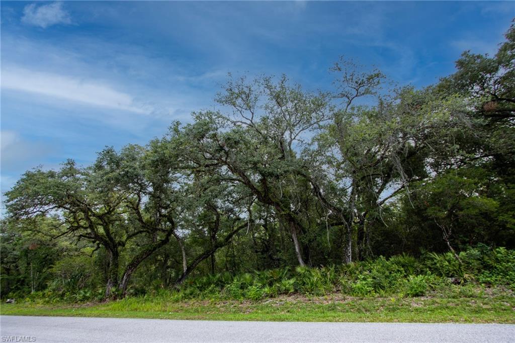 NOT APPLICABLE - Land