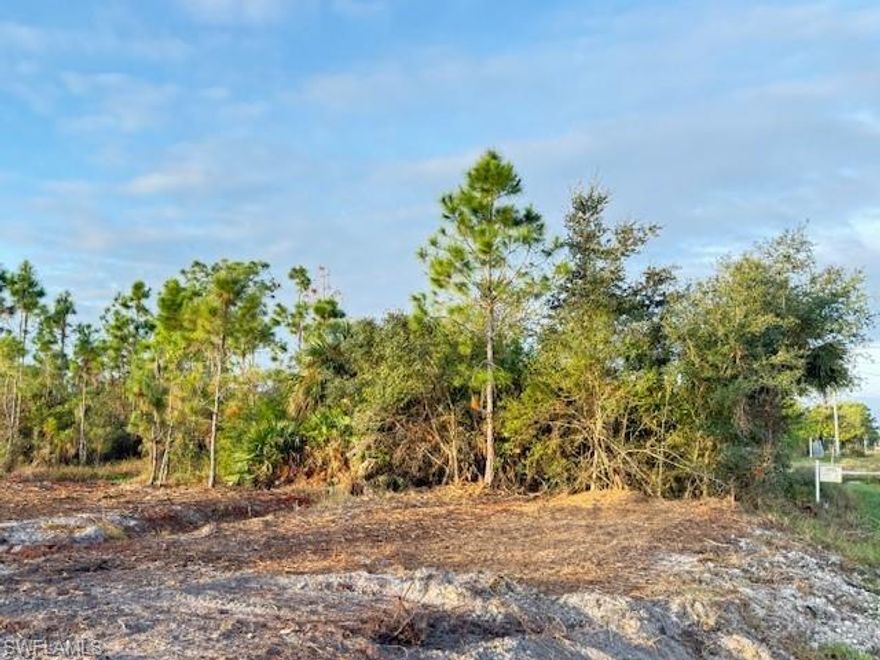 100% upland less .05 acres, see Informal Wetland Determination by Florida Wetland Consultants. Over 1 acre of high and dry property to build your dream home in the quite of Golden Gate Estates. Conveniently located off Everglades Blvd between Oil Well and Immokalee Roads, just 10 minutes from schools, Big Corkscrew Island Regional Park, and the new Publix. Very few uplands lots left in the estates.