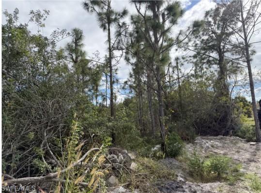 GOLDEN GATE ESTATES - Land