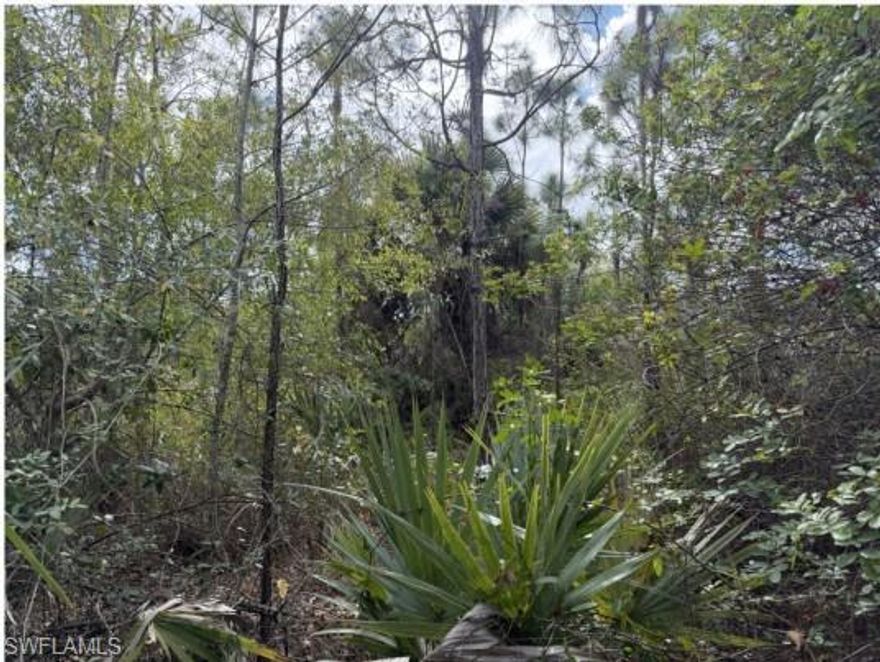 100% upland less .05 acres, see Informal Wetland Determination by Florida Wetland Consultants. Over 1 acre of high and dry property to build your dream home in the quite of Golden Gate Estates. Conveniently located off Everglades Blvd between Oil Well and Immokalee Roads, just 10 minutes from schools, Big Corkscrew Island Regional Park, and the new Publix. Very few uplands lots left in the estates.