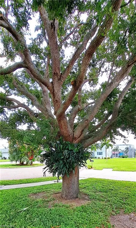 North Fort Myers, Florida 33903, United States, 2 Bedrooms Bedrooms, ,2 BathroomsBathrooms,Residential,Active,41685