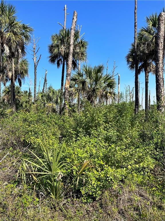 GOLDEN GATE ESTATES - Land