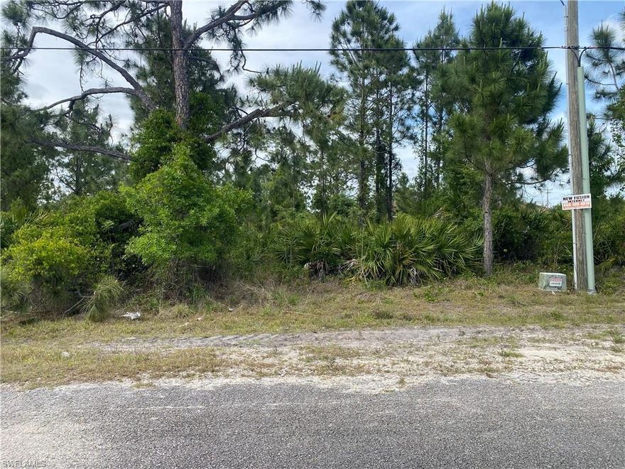 Build your dream home on this lot with an excellent location and easy access to Fort Myers and Cape Coral. 2 minutes to SR82—a fast-growing SWFL area.