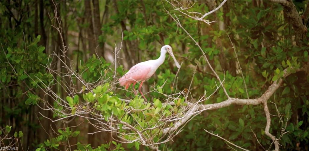 DORCHESTER - Residential