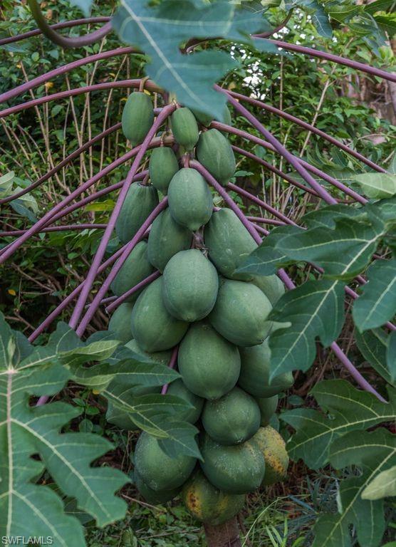 SORRENTO GARDENS - Residential