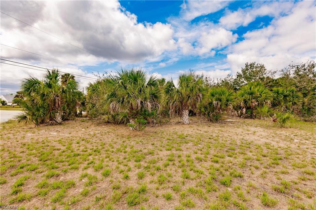 PORT CHARLOTTE - Land