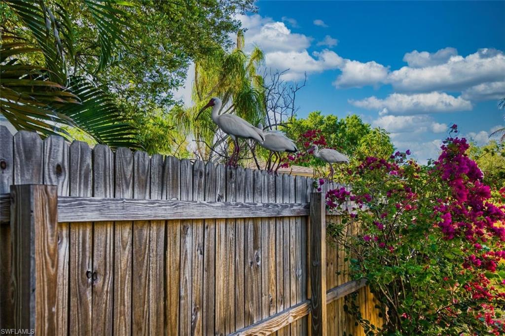 FORT MYERS - Residential