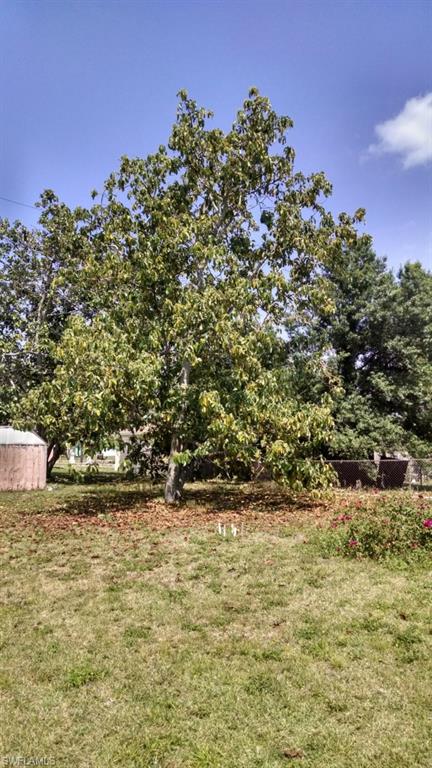 FORT MYERS SHORES - Residential