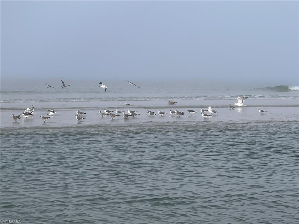 NAPLES PARK - Residential