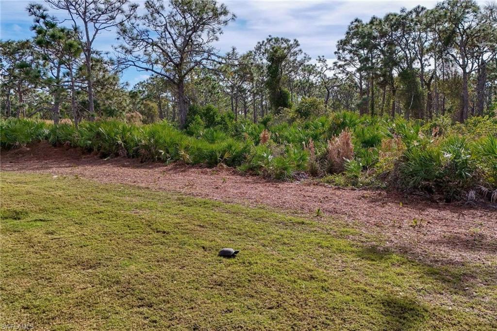 CALUSA RIDGE - Residential