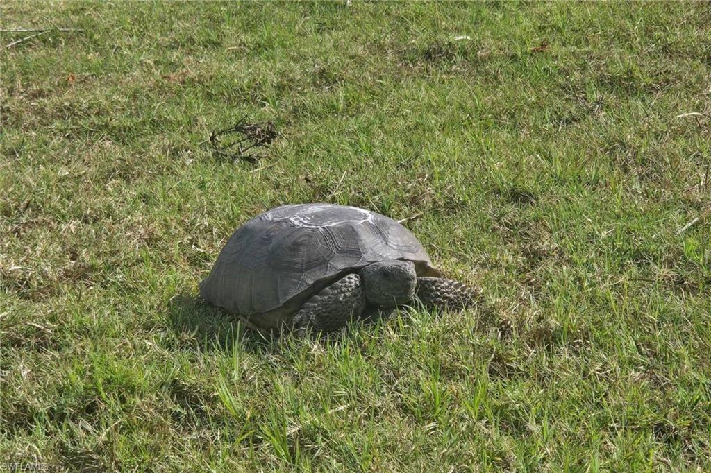 CALUSA RIDGE - Residential