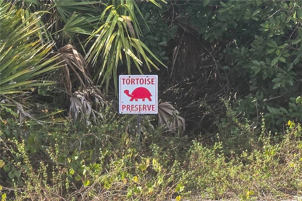 CALUSA RIDGE - Residential