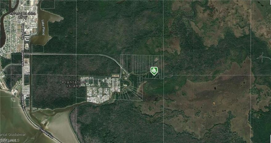 over an acre on a canal vacant lot, no access, future investment, boating, kayaking, no hoa, as-is, adjacent lot to the left and across lot are for sale too, google co-ordinate is approx 25.848637, -81.360648