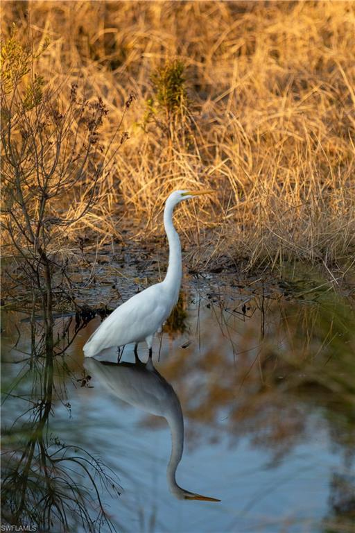 STERLING HILL - Land