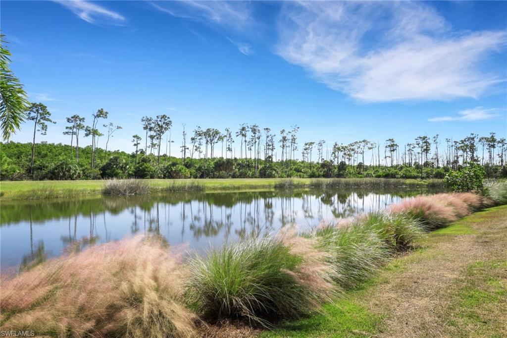 ISLES OF COLLIER PRESERVE - Residential