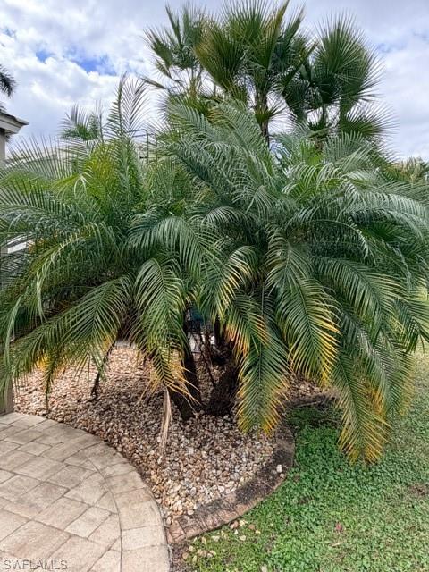 CYPRESS TRAIL RV RESORT - Land