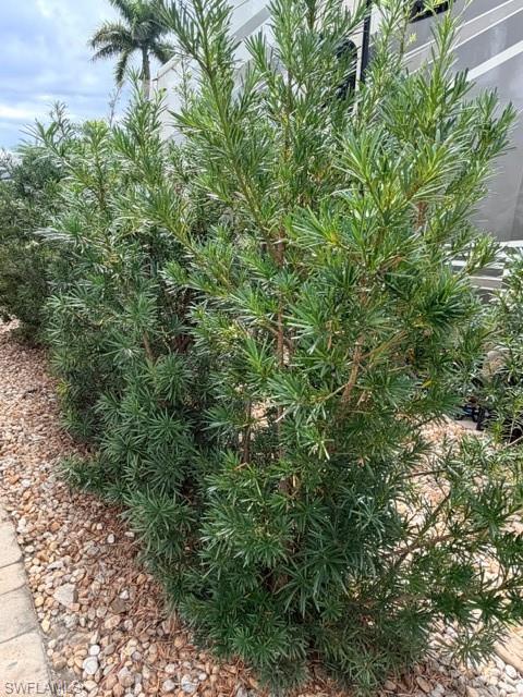 CYPRESS TRAIL RV RESORT - Land