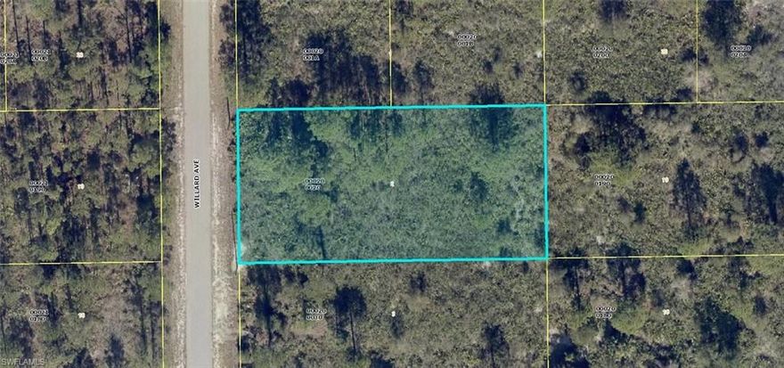 Build your dream home here. Half acre lot just a few blocks off Williams Ave. with easy access to shopping, schools, restaurants, churches and Lehigh Acres Community Park.  A short drive to Fort Myers Airport, baseball parks, Hertz Arena for hockey and our beautiful beaches.  Come and enjoy all sunny Southwest Florida has to offer.